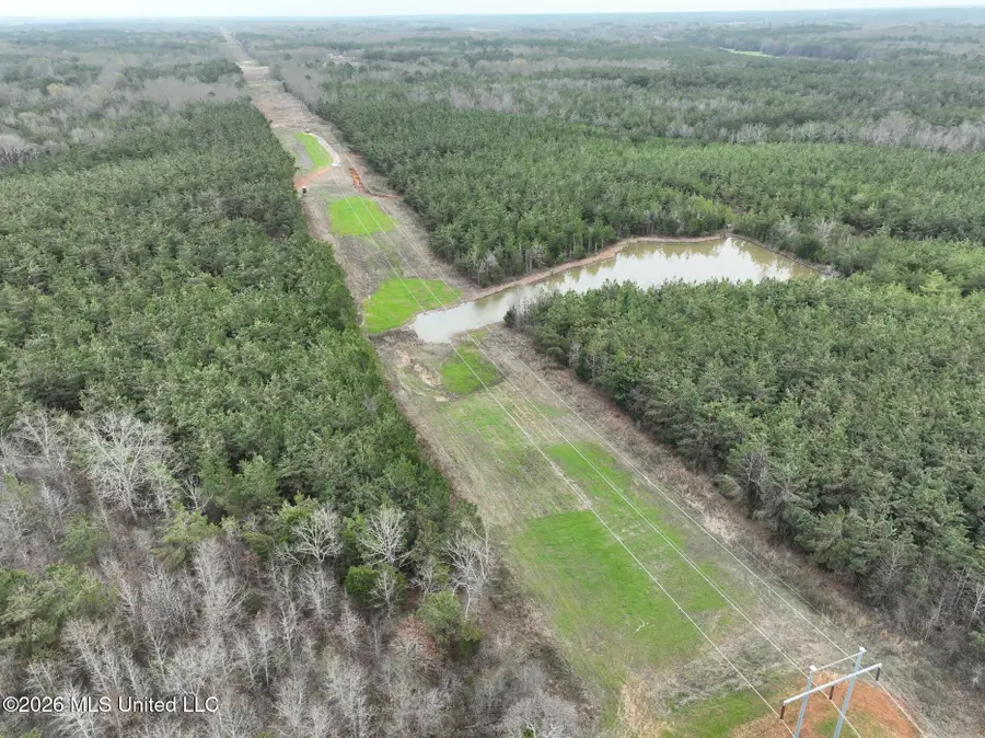 1177 County Road 194, Blue Springs, MS 38828 - #3