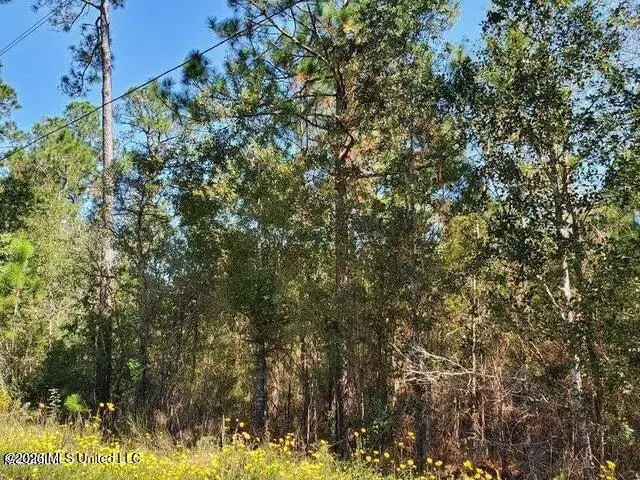 Lots 2-3 Tigris Street, Bay Saint Louis, MS 39520 - #1