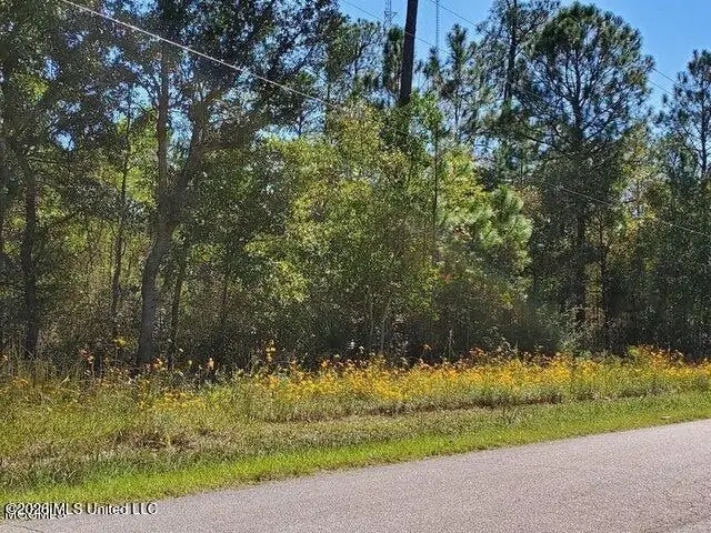 Lots 2-3 Tigris Street, Bay Saint Louis, MS 39520 - #3