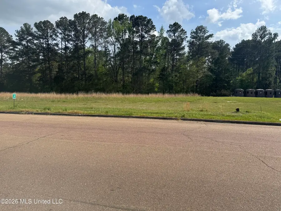 0 River Ridge Parkway, Pearl, MS 39208 - #2