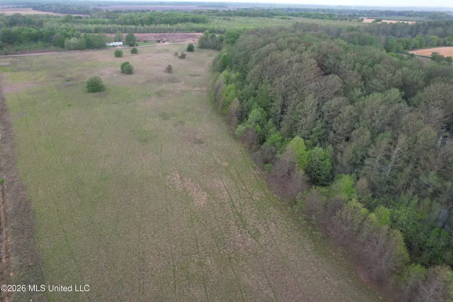 Shaw Road, Sledge, MS 38670 - #3