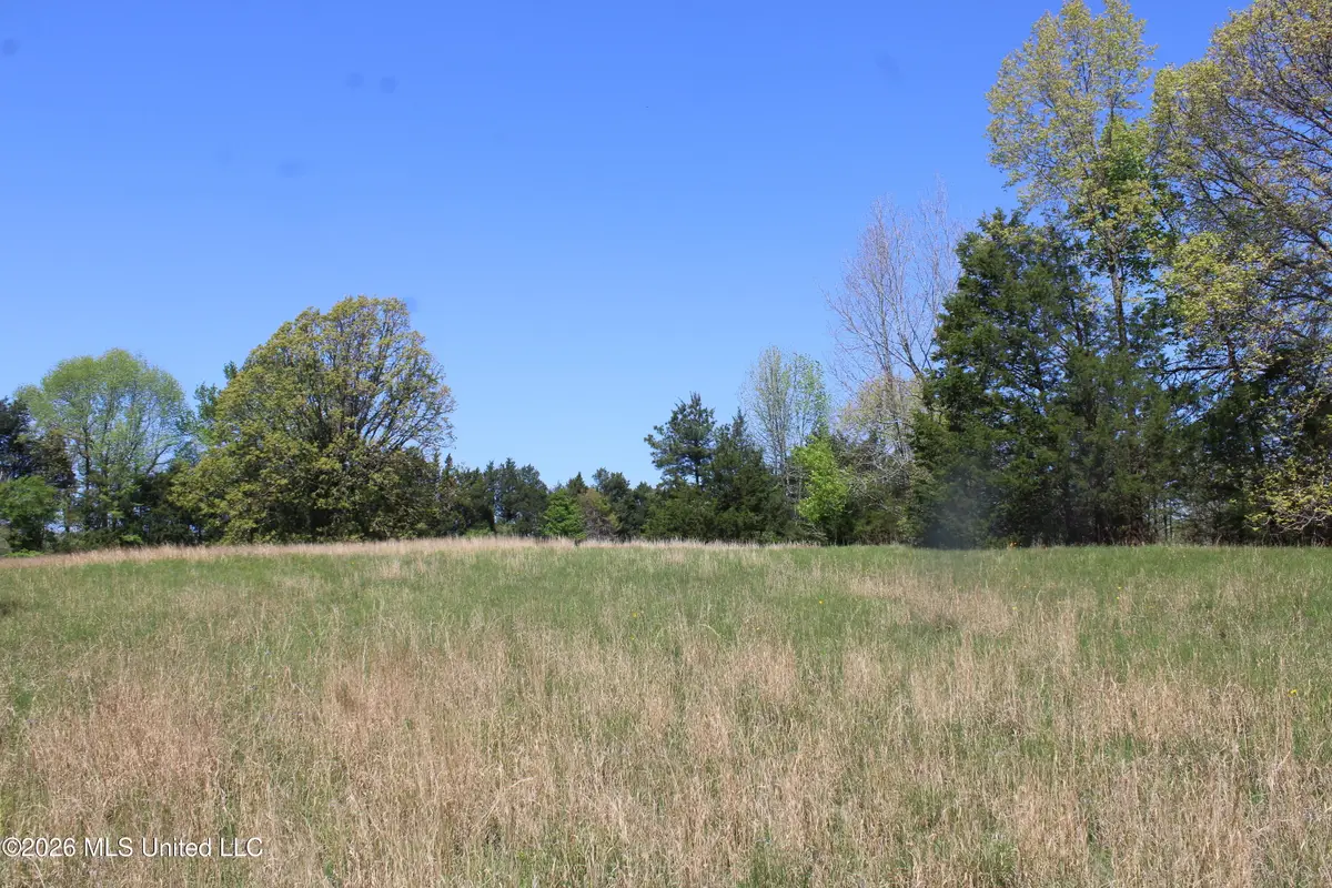 600 Turner Cove, Holly Springs, MS 38635 - #1