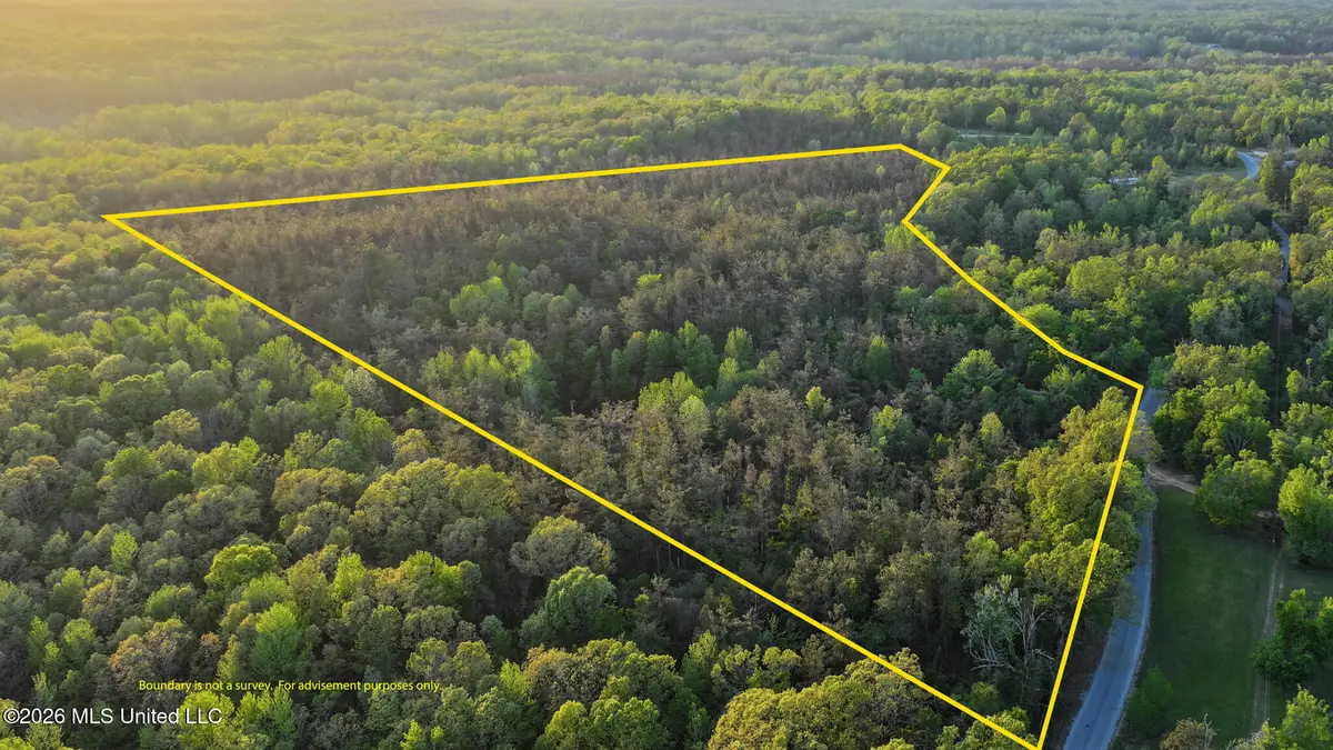 Dees Rd. Road, Enid, MS 38927 - #1