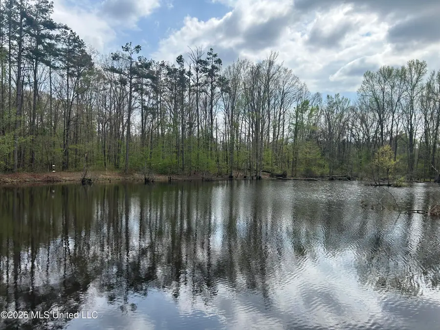 1356 Jeff Dodd Road, West, MS 39192 - #2