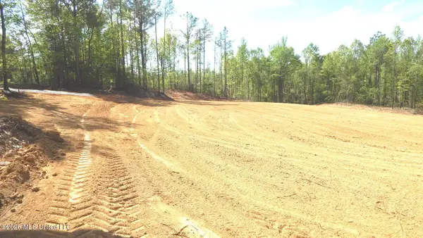 60 Nelia Road, Grenada, MS 38901