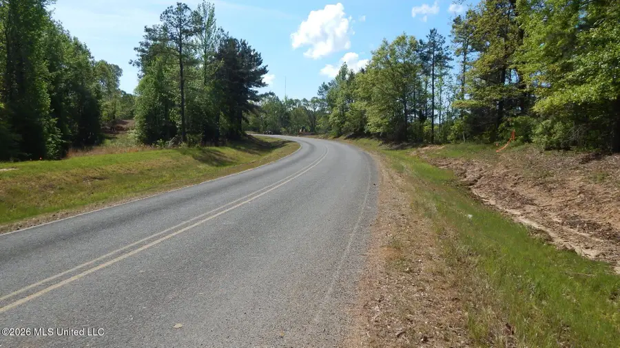 60 Nelia Road, Grenada, MS 38901 - #3