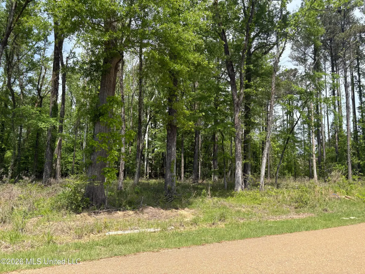 Bridgewater Bend, Ridgeland, MS 39157 - #1