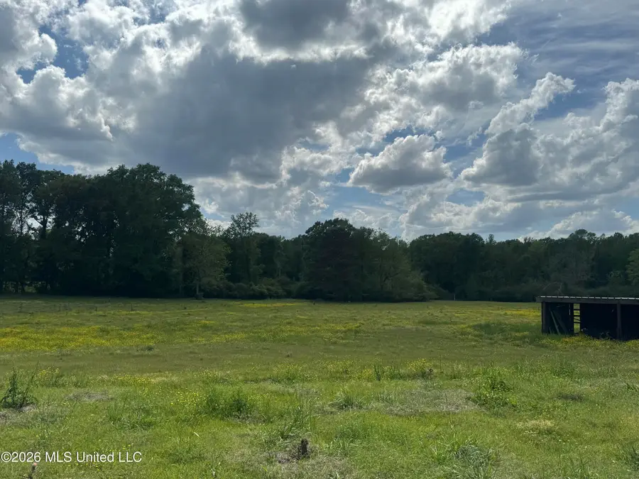Ms-13, Mendenhall, MS 39114 - #3