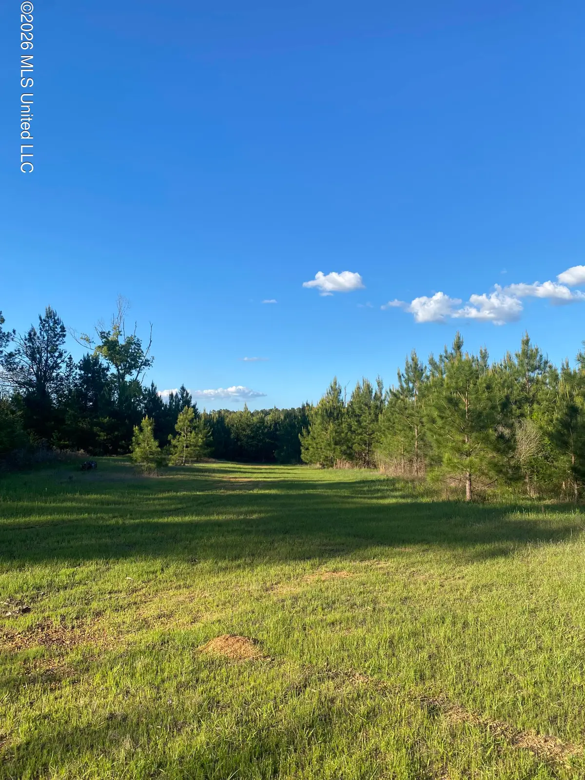 Tbd County Road 48, Gloster, MS 39638 - #1