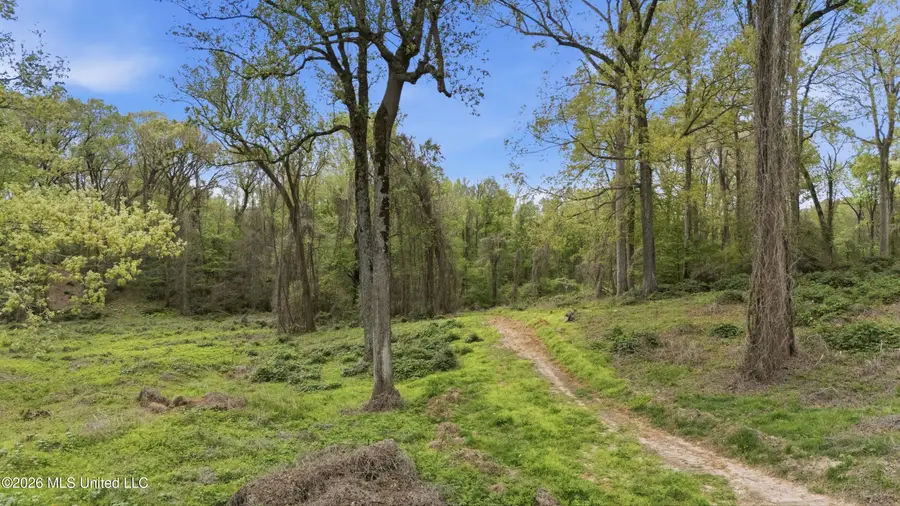 5 Nail Road, Walls, MS 38680 - #3