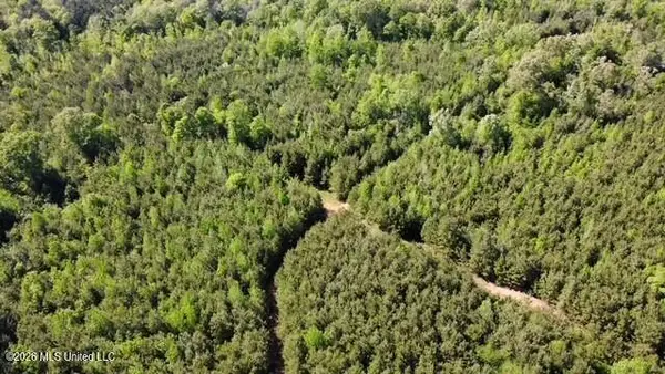 00 SW Auburn Drive, Bogue Chitto, MS 39629