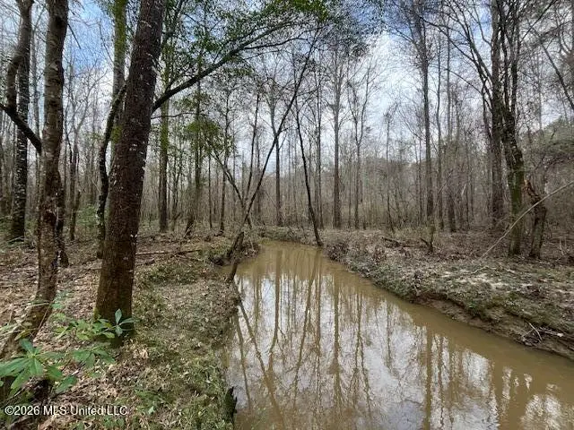 00 SW Auburn Drive, Bogue Chitto, MS 39629 - #2