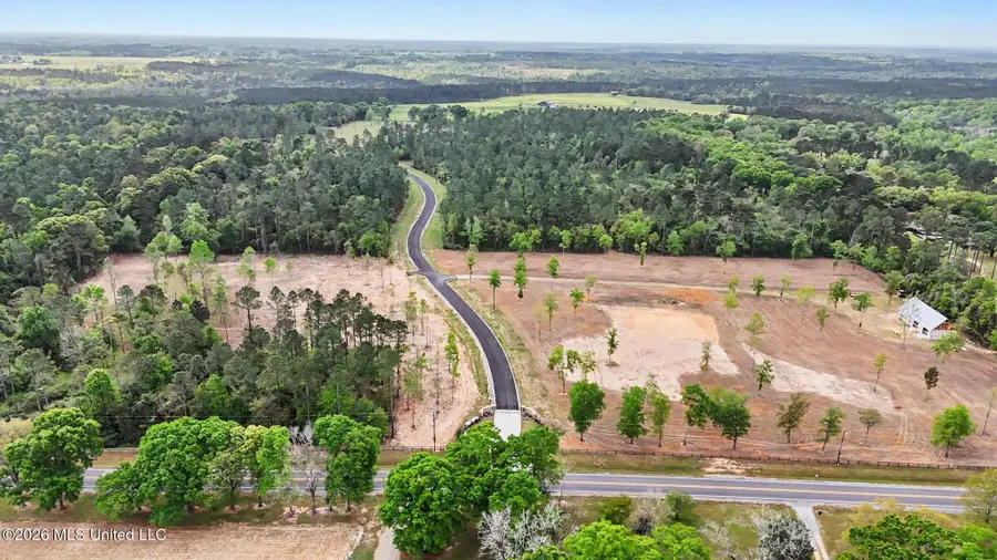 Lot 13 Pine Ridge Lane, Lucedale, MS 39452 - #3