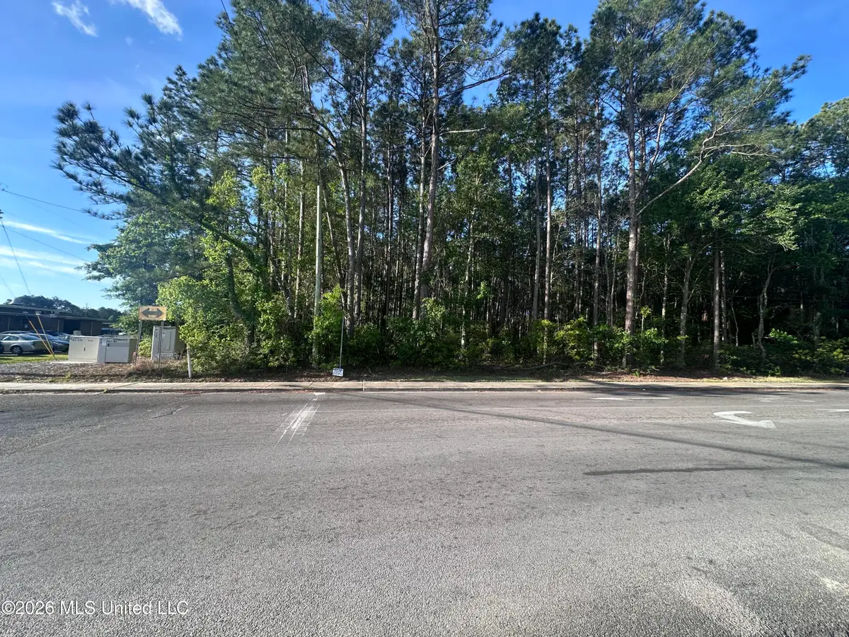 Martin Luther King Boulevard, Moss Point, MS 39563 - #1