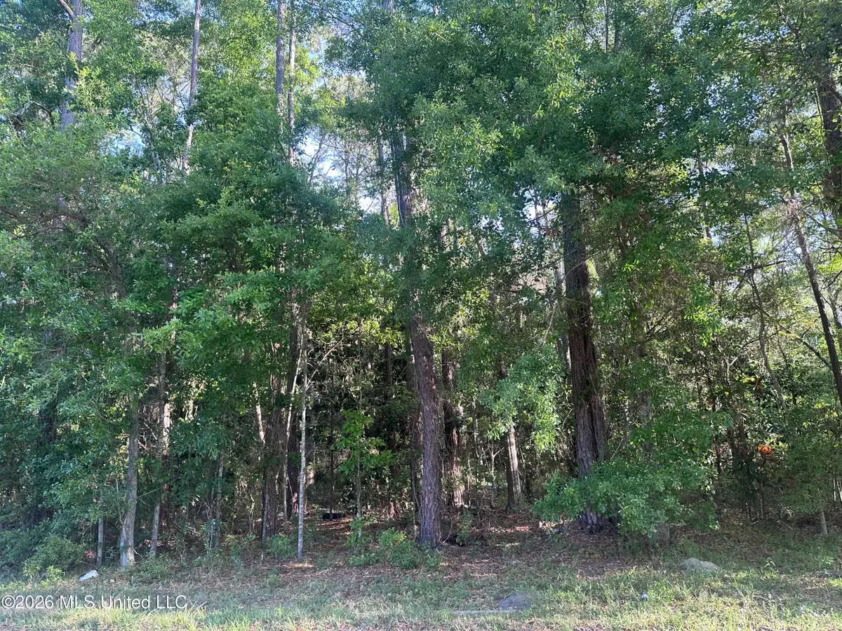 Gregory St. Street, Moss Point, MS 39563 - #1
