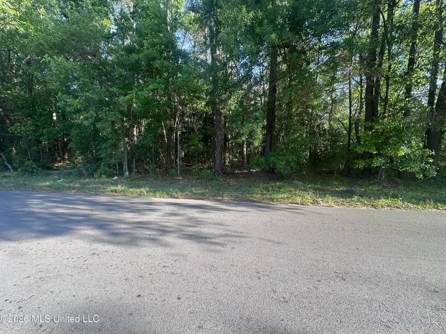 Gregory St. Street, Moss Point, MS 39563 - #2