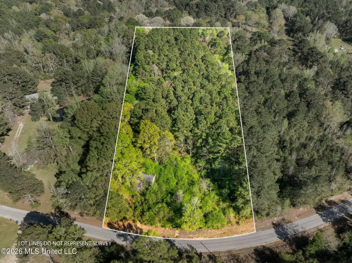 3 Acres Will Barber Road, Pinola, MS 39149 - #1