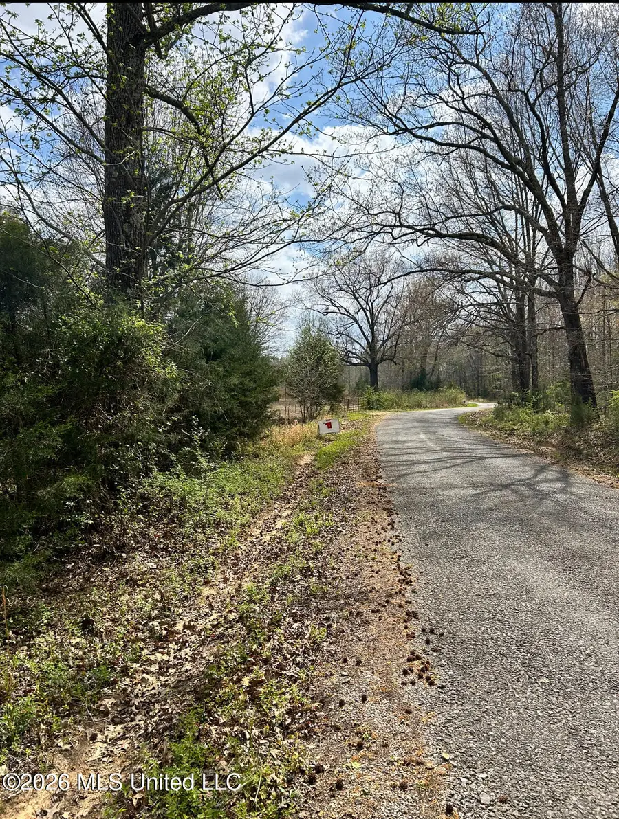 Lot 1 Matthews Drive, Byhalia, MS 38611 - #2