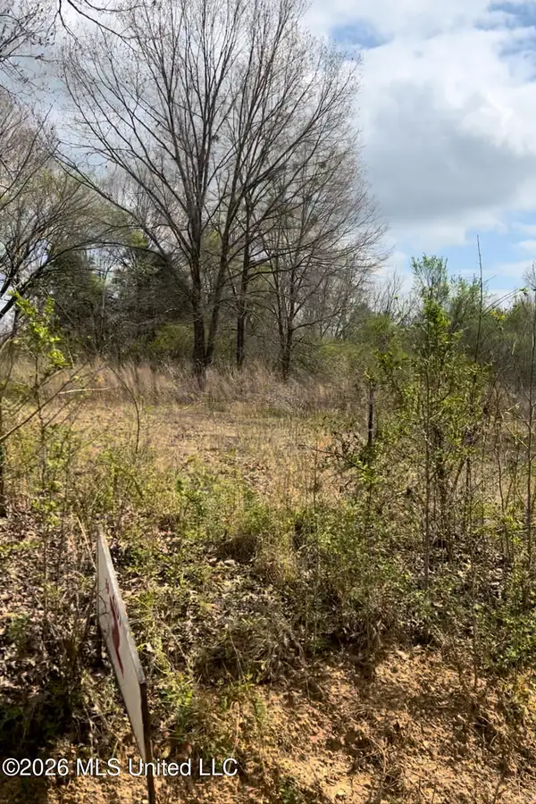 Lot 2 Matthews Drive, Byhalia, MS 38611