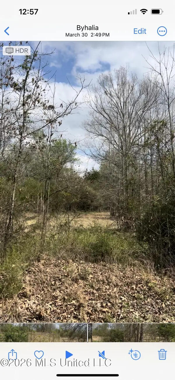 Lot 3 Matthews Drive, Byhalia, MS 38611