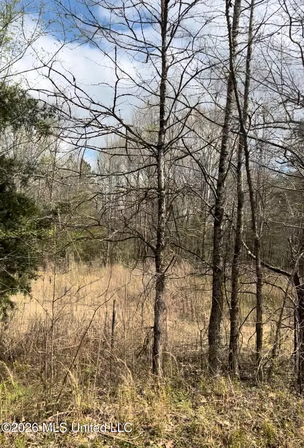 Lot 4 Matthews Drive, Byhalia, MS 38611