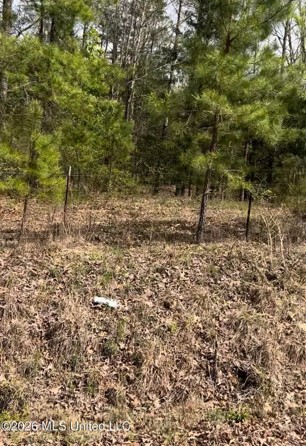 Lot 5 Matthews Drive, Byhalia, MS 38611