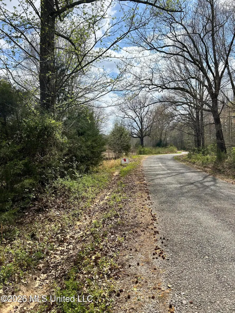 Lot 5 Matthews Drive, Byhalia, MS 38611 - #2