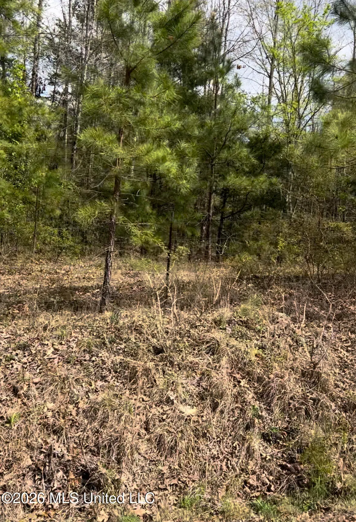 Lot 6 Matthews Drive, Byhalia, MS 38611 - #1