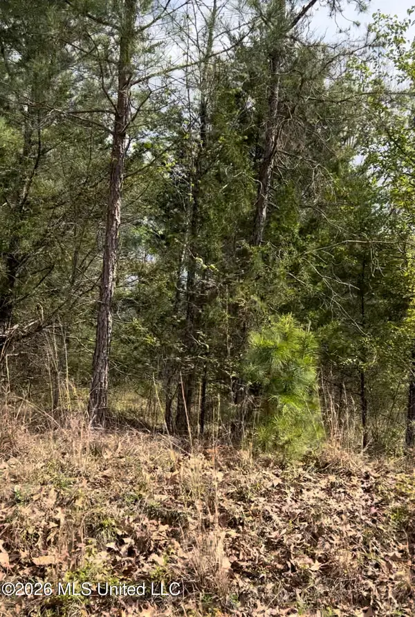 Lot 7 Matthews Drive, Byhalia, MS 38611