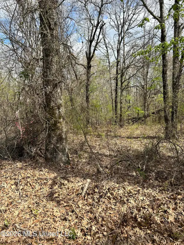Lot 8 Matthews Drive, Byhalia, MS 38611