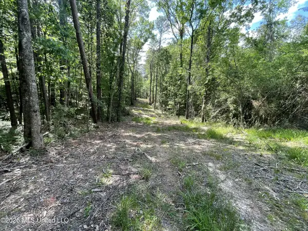 420 SE River Rd Drive, Bogue Chitto, MS 39629