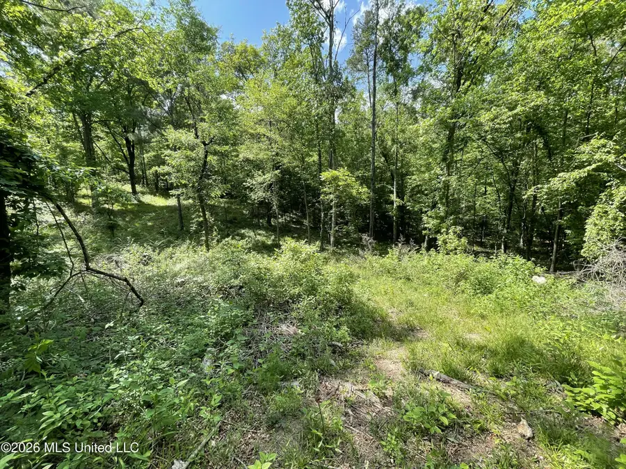 420 SE River Rd Drive, Bogue Chitto, MS 39629 - #3