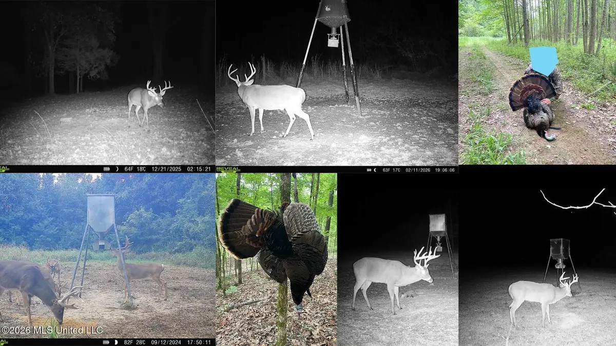 2484 Freeman Road, Fayette, MS 39069 - #1