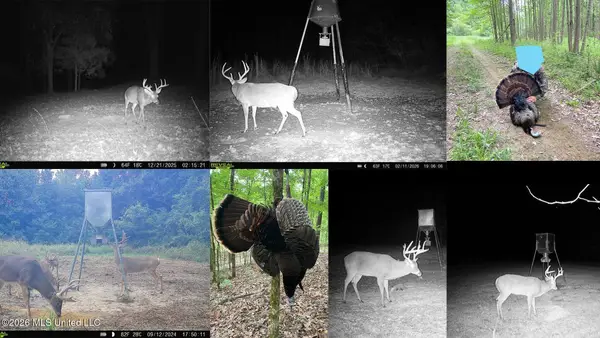 2484 Freeman Road, Fayette, MS 39069