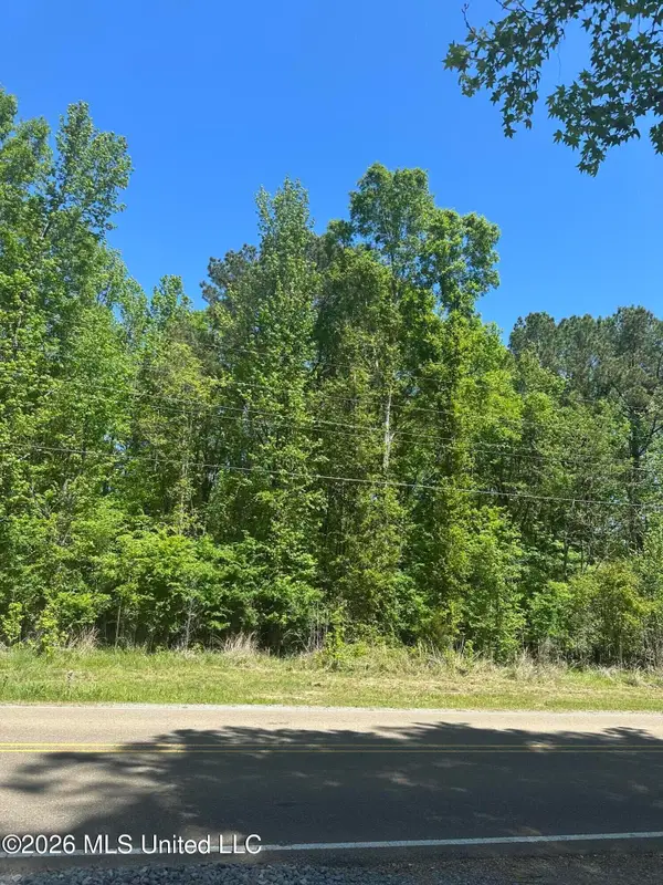 Robinson Springs Road, Madison, MS 39110