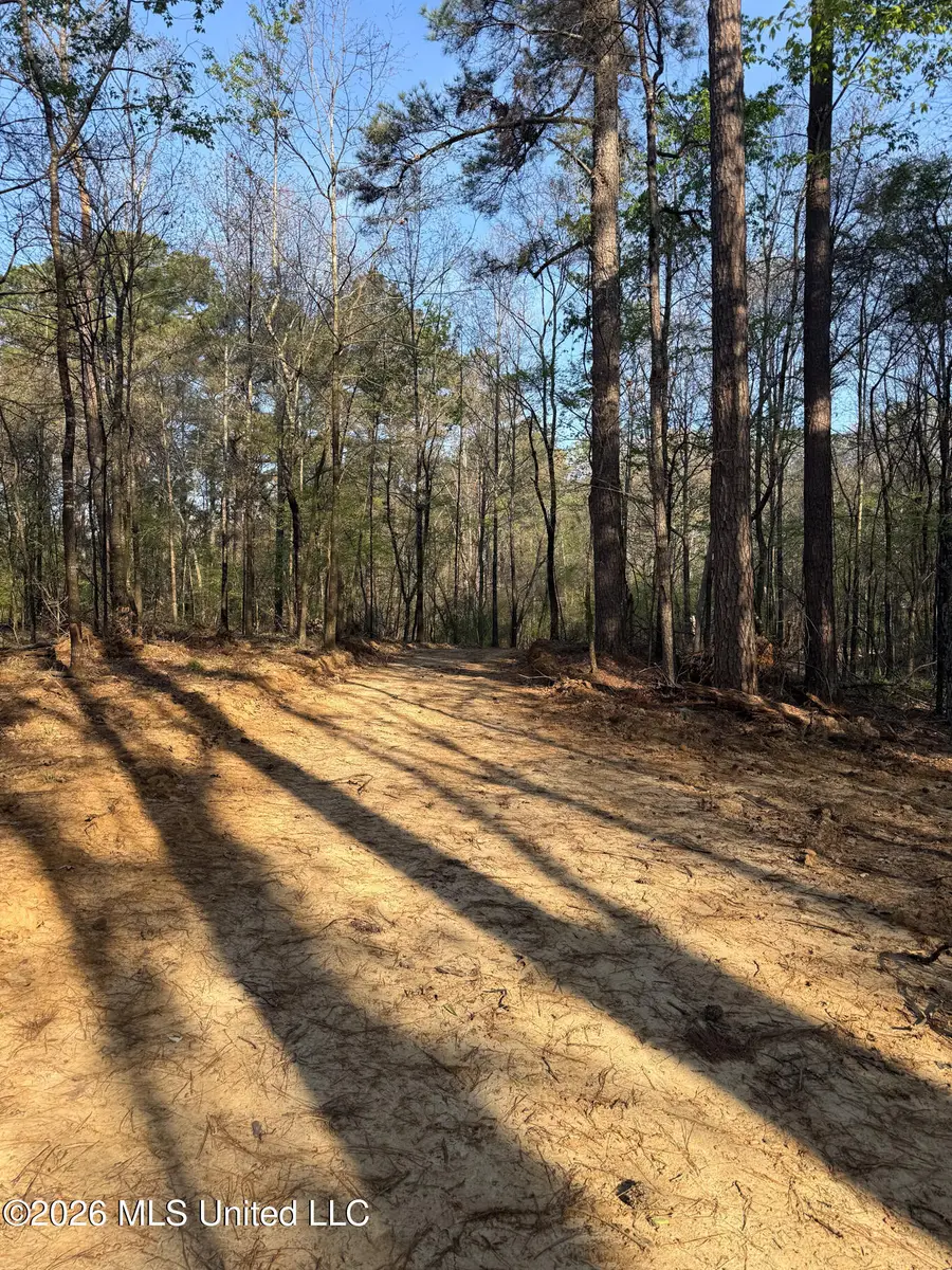 674 E J Henry Road, Grenada, MS 38901 - #3