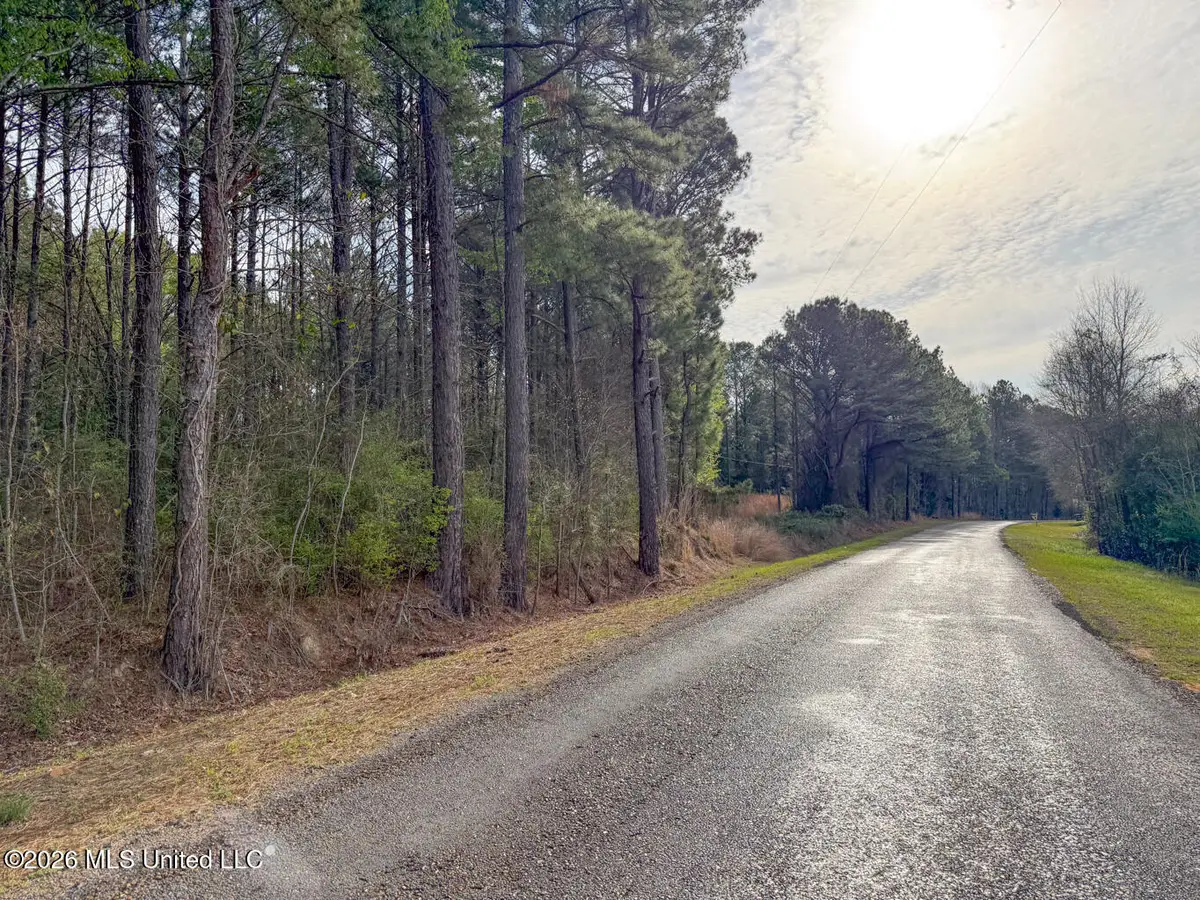 288 Galilee Road, Carthage, MS 39051 - #1