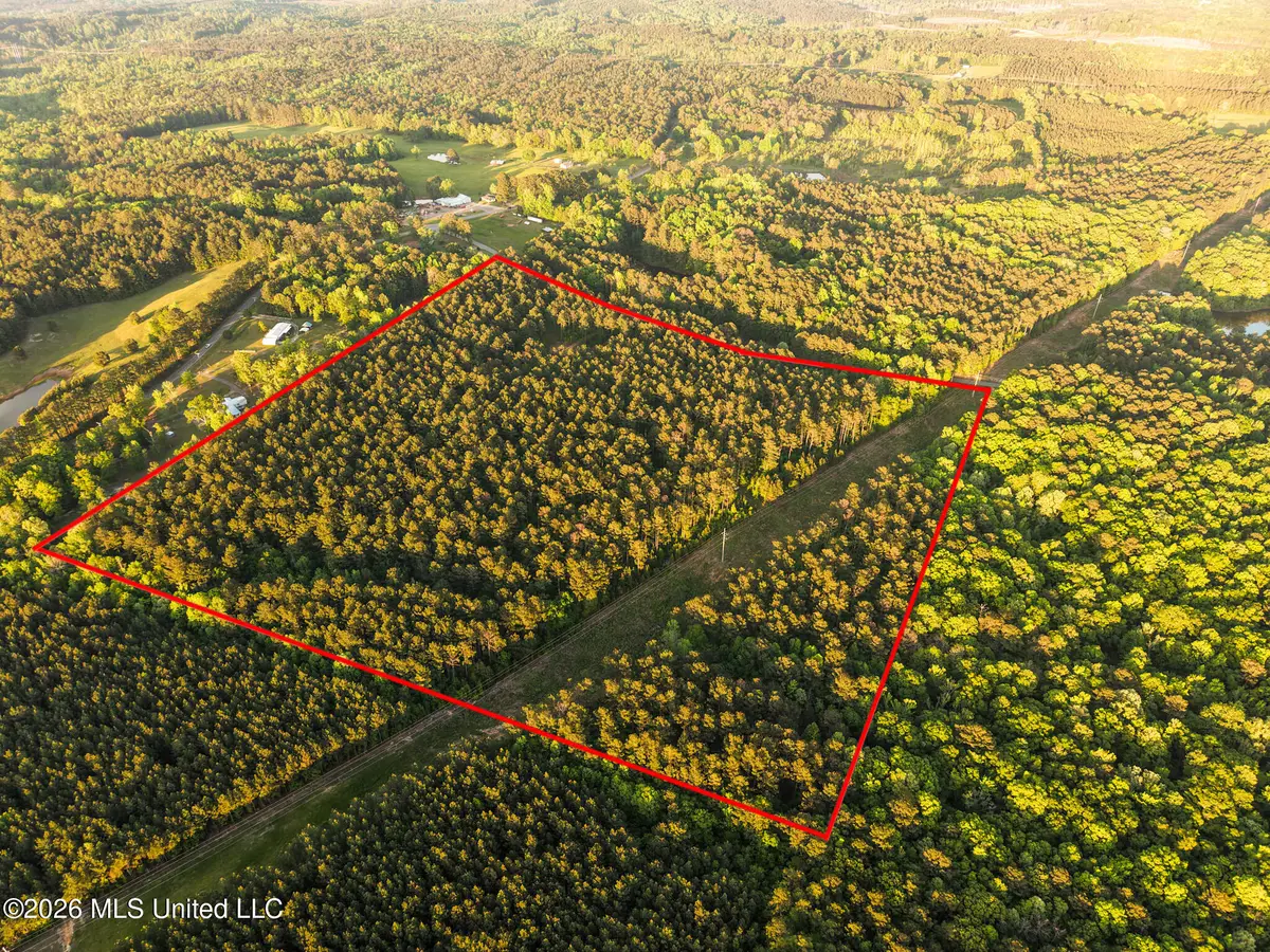 Dees Road, Meridian, MS 39301 - #1