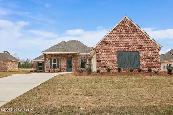 201 Jasmine Cove Circle, Brandon, MS 39042