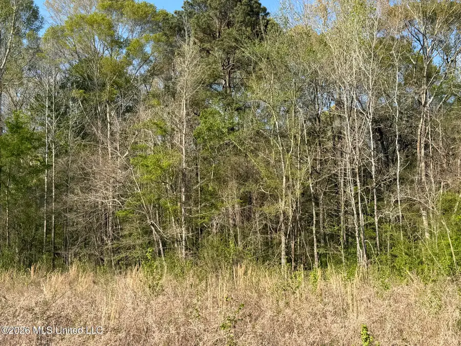 Owen Boone Road, Brandon, MS 39047 - #2