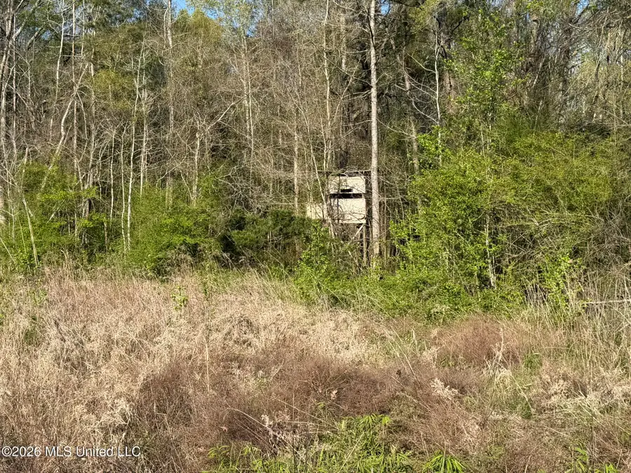 Owen Boone Road, Brandon, MS 39047 - #3