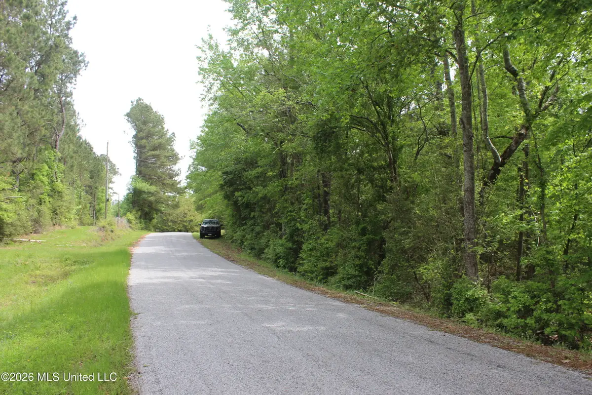 Charlie Boyd Road, Jayess, MS 39641 - #1