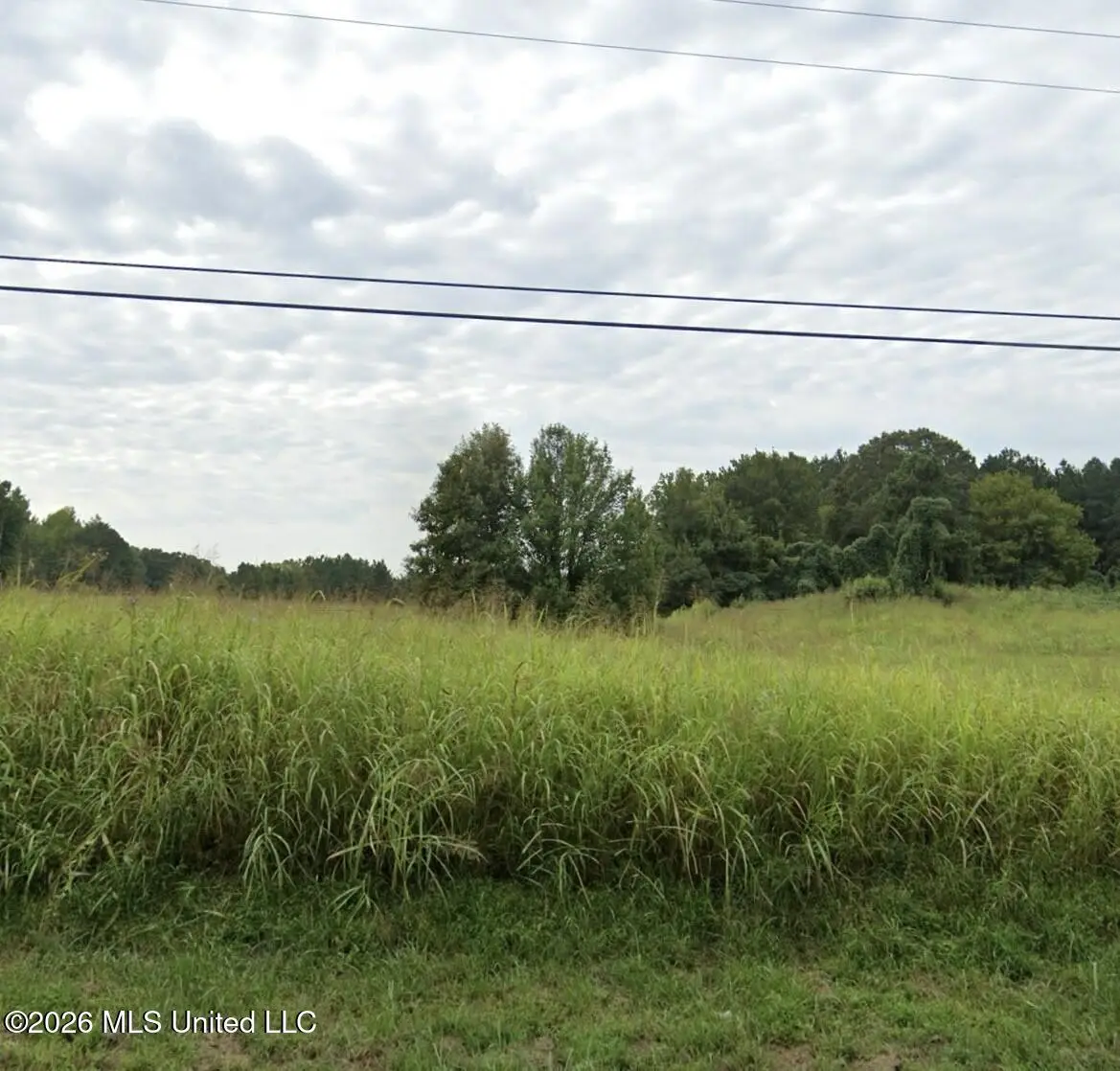 48 Dean Road, Lake Cormorant, MS 38641 - #1