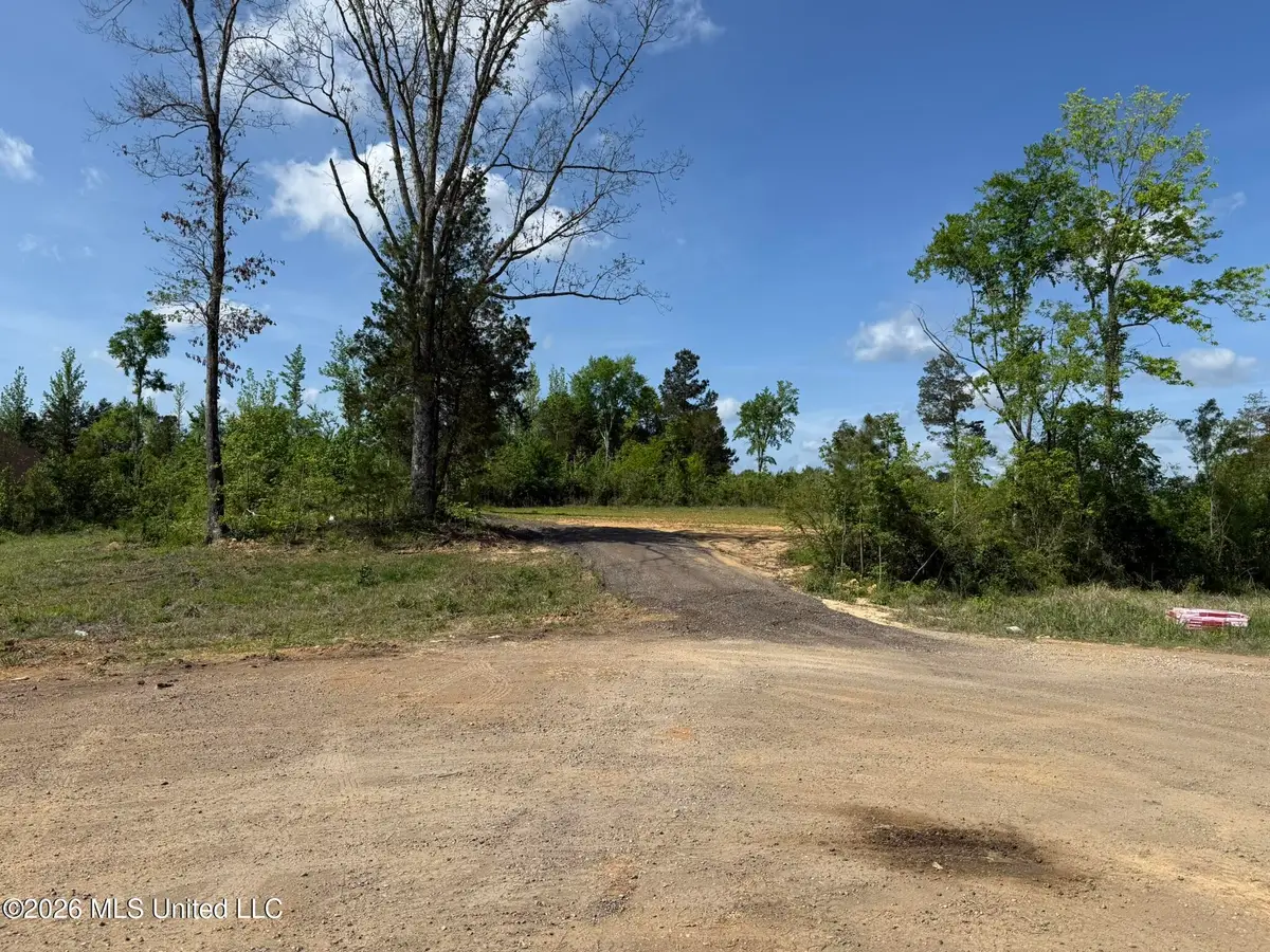 25 Honey Suckle Cove, Holly Springs, MS 38635 - #1