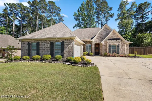 226 Terrapin Creek Road, Brandon, MS 39042