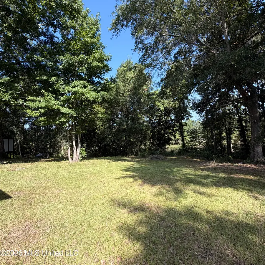 4315 Biglin Bayou Drive, Diberville, MS 39540 - #3
