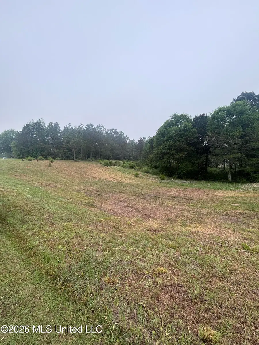 00 W Circle Road, Ellisville, MS 39437 - #2