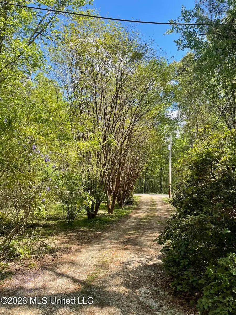91 Charles Mitchell Road, Poplarville, MS 39470 - #3