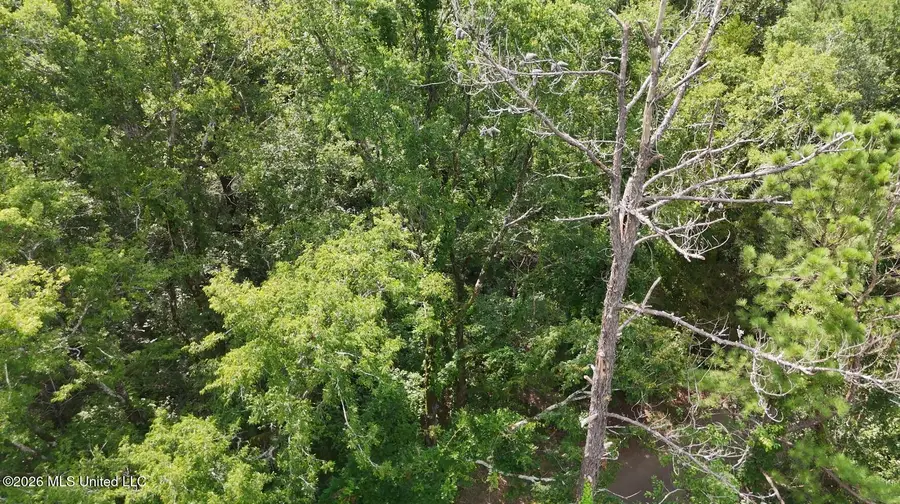 0 Chapel Hill Road, Utica, MS 39175 - #3