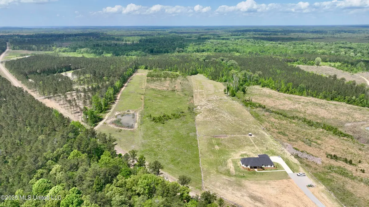 0010 Coal Bluff Road, Lena, MS 39094 - #1